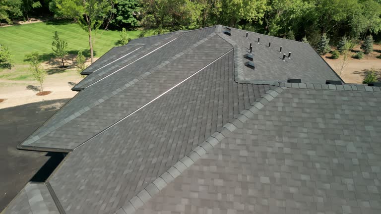 Best Sheet Metal Roofing  in Nanakuli, HI